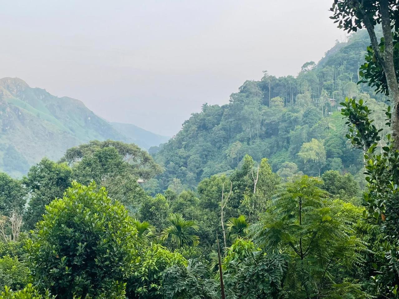 Mid Scenery Home Stay 엘라 외부 사진