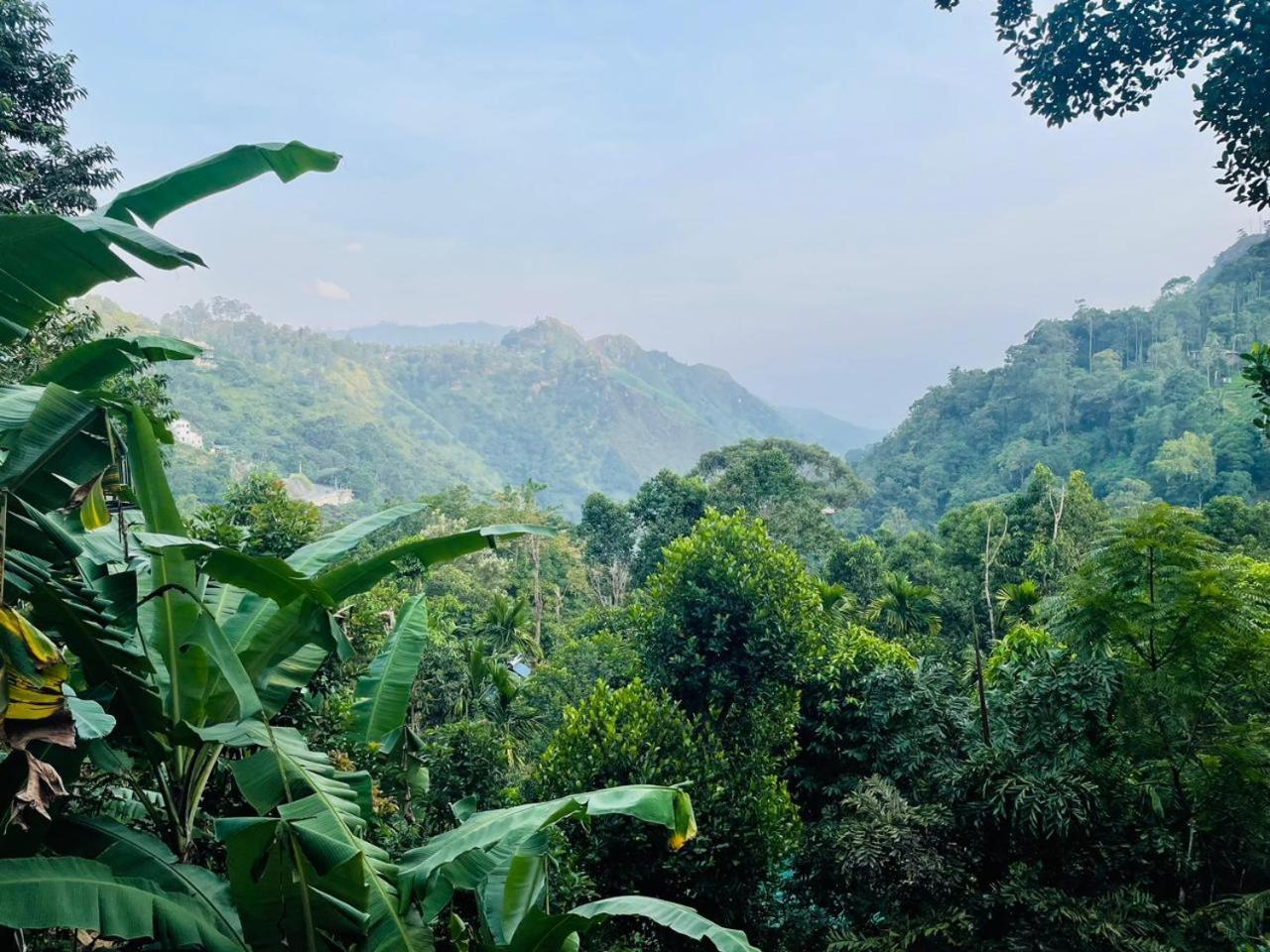 Mid Scenery Home Stay 엘라 외부 사진