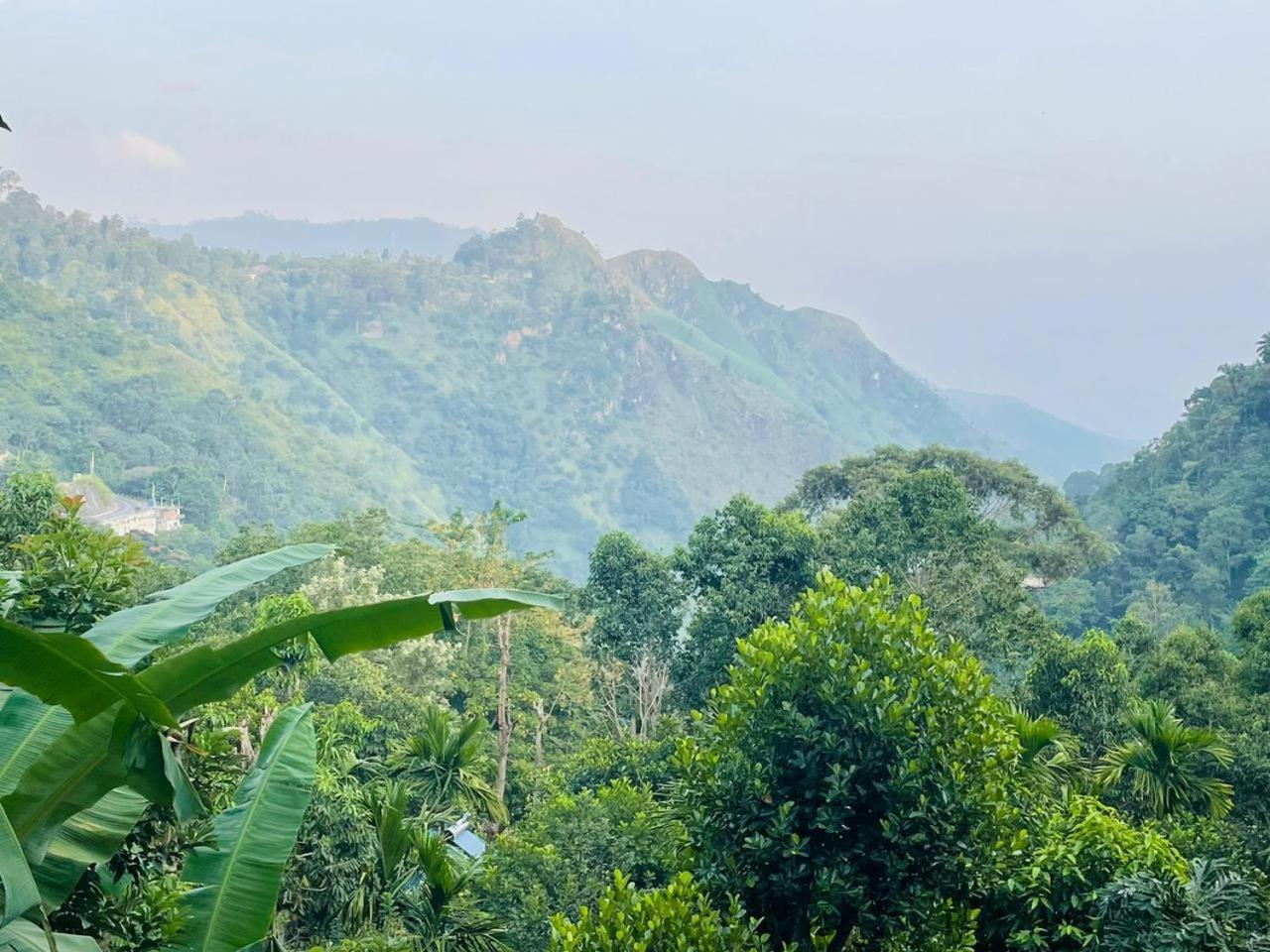 Mid Scenery Home Stay 엘라 외부 사진