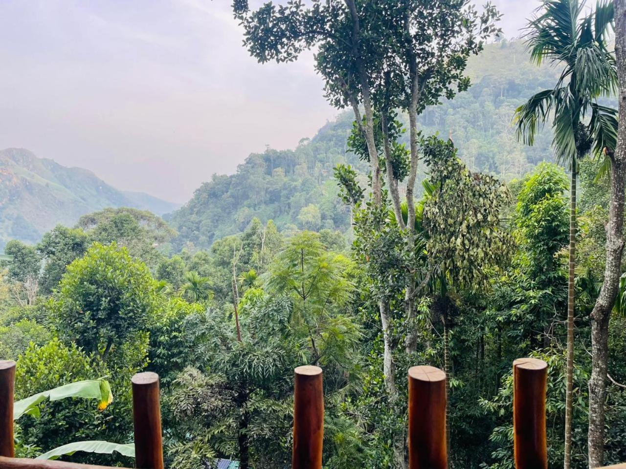 Mid Scenery Home Stay 엘라 외부 사진