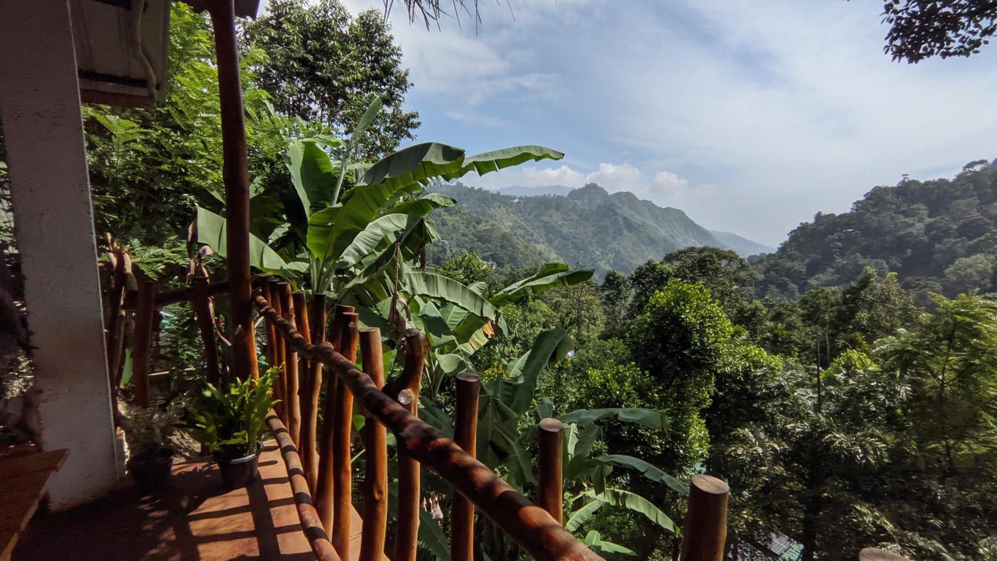 Mid Scenery Home Stay 엘라 외부 사진