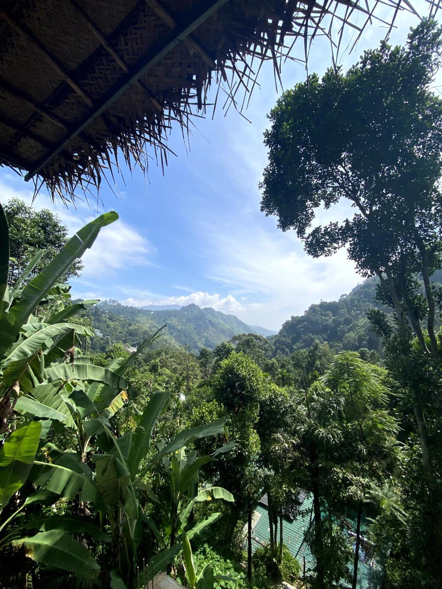 Mid Scenery Home Stay 엘라 외부 사진